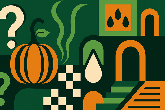 Your Guide to Integrating Pumpkin Seed Oil for a Balanced, Healthy Lifestyle.png
