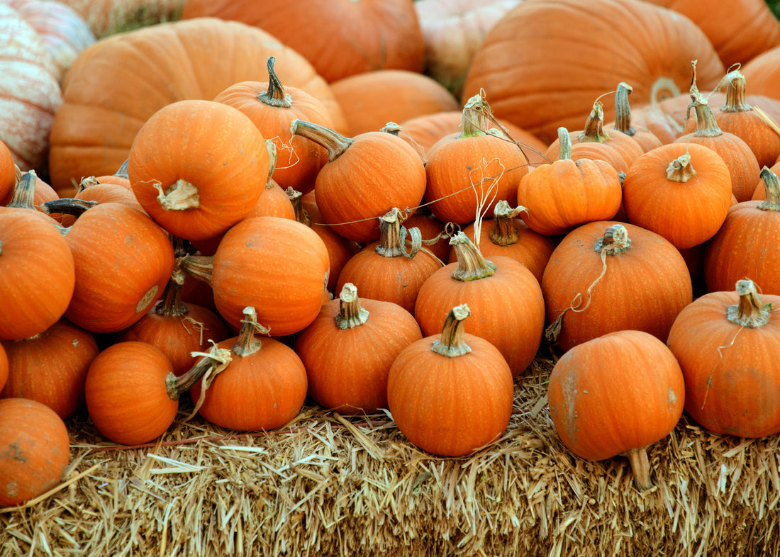 pumpkins seed oil benefits